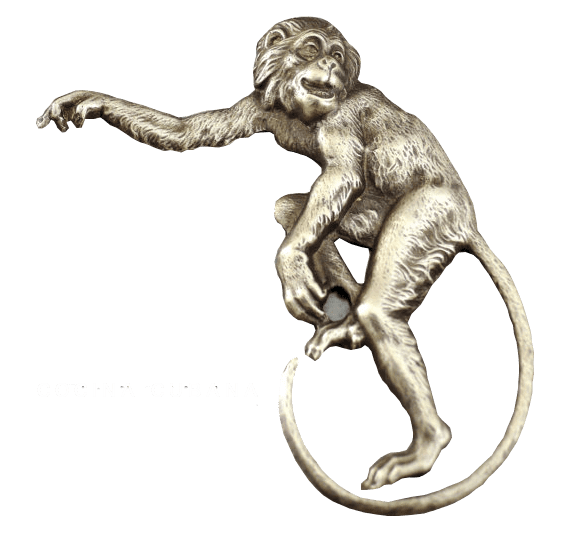 Monkey in The City